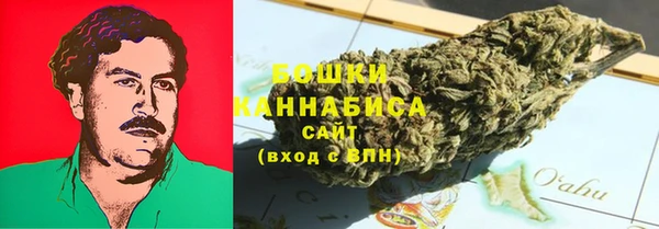 винт Няндома