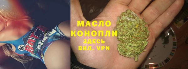 гашик Галич