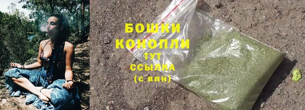 ГАЛЛЮЦИНОГЕННЫЕ ГРИБЫ Михайлов