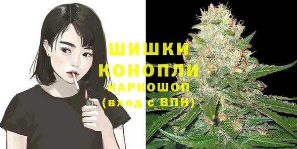 СК Туринск