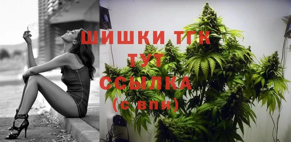 прущие грибы Приозерск